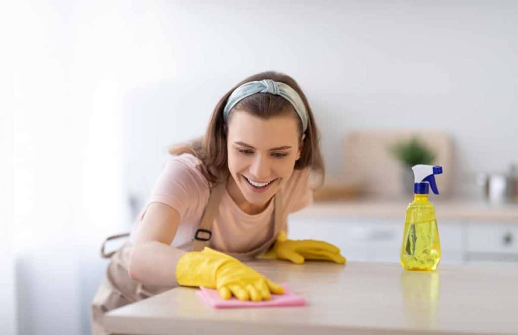 cleaning services price list