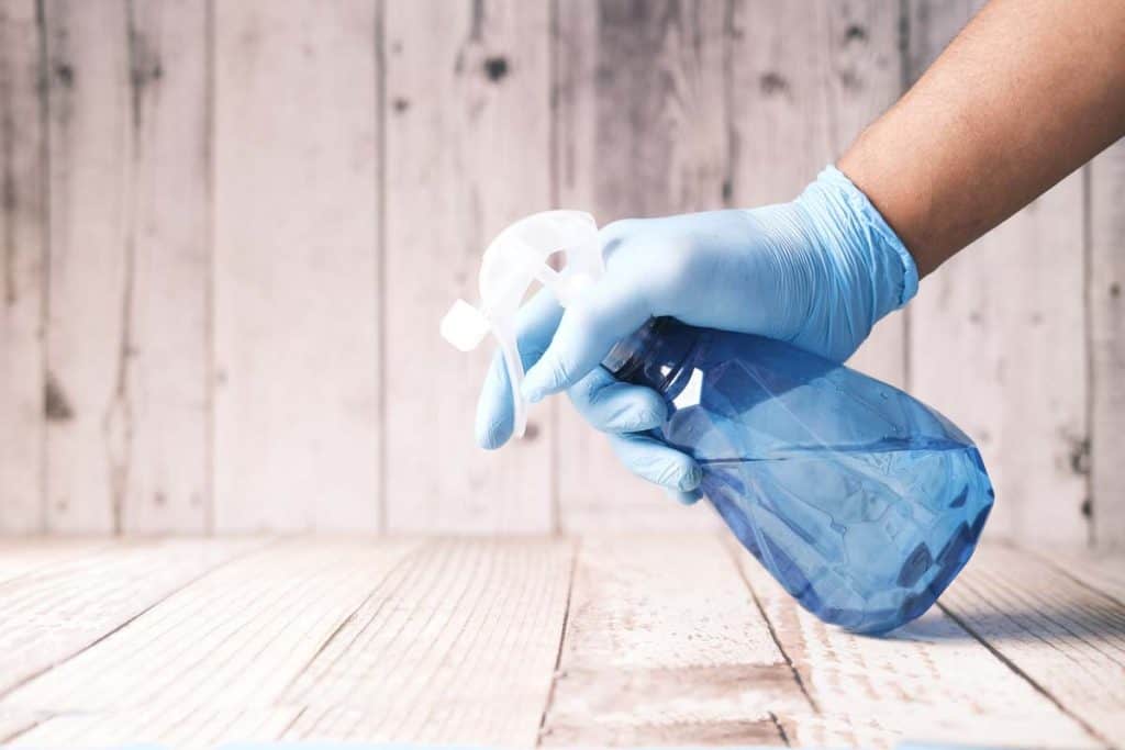 cleaning services near me cheap