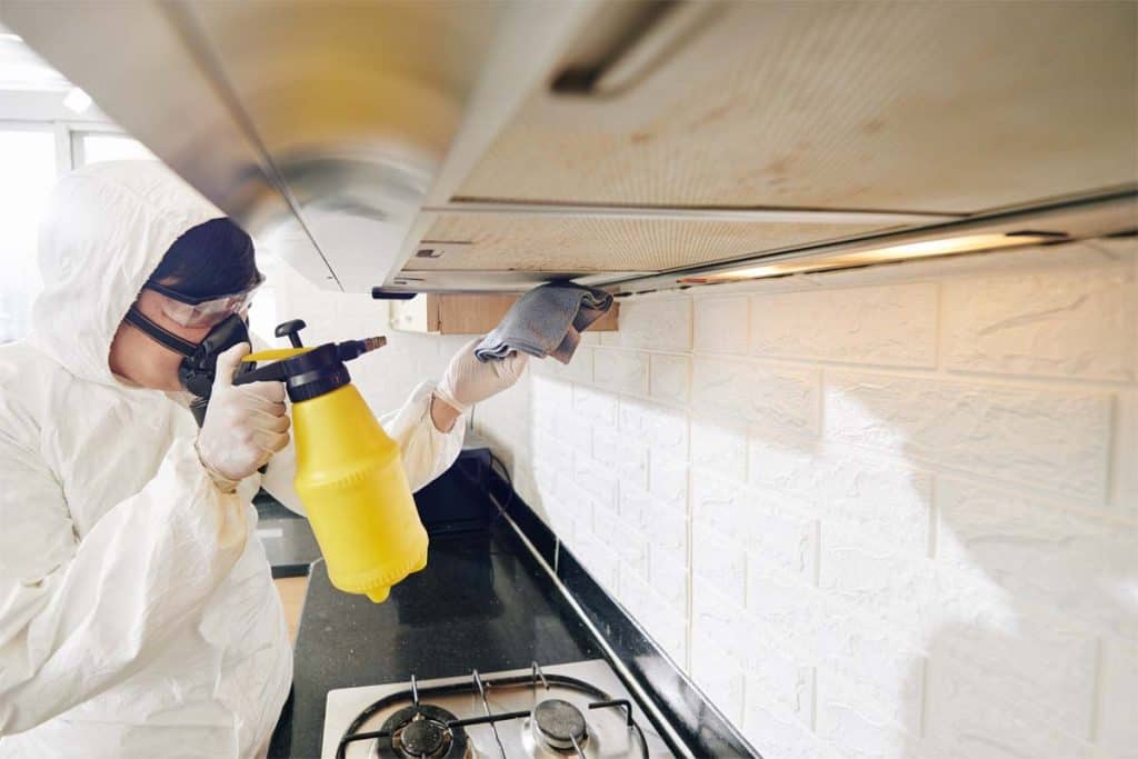 names for cleaning services